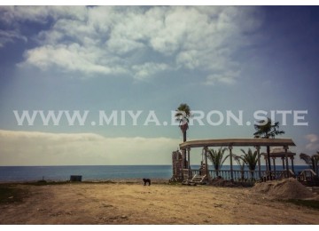 Собственный пляж| База отдыха «МИЯ»| Абхазия, Гудаутаский район, Гудаута